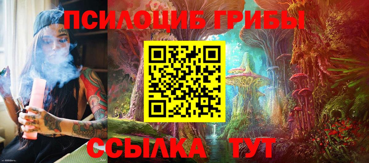 Галлюциногенные грибы Psilocybine cubensis Карталы